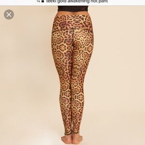 Teeki gold awakening hot pant